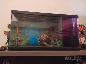 Acquario 80 litri 