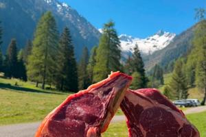 Vacanze nel Parco Nazionale dello Stelvio Trentino