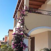 Appartamento in residence