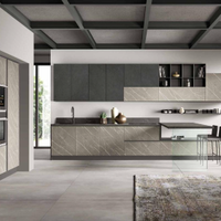 CUCINA LINEARE CON PIANO SNACK COLONNE+VETRINA