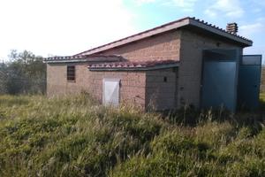 Toscana Alta Maremma Uliveto