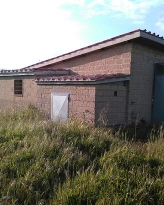 Toscana Alta Maremma Uliveto