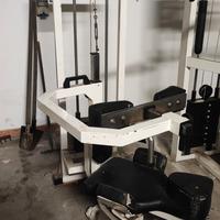 Rotary Torso Technogym Abdominal