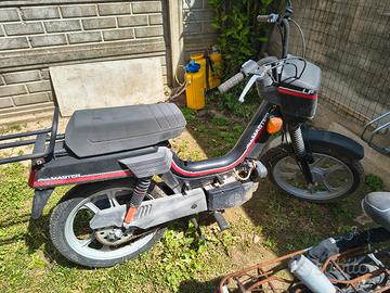 motorino ATALA MASTER