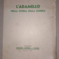 Libro della prina guerra mondiale in Adamello