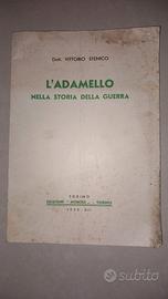 Libro della prina guerra mondiale in Adamello