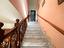 Immagine 10