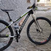 MTB cannondale carbonio