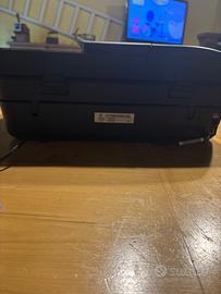 Stampante hp
