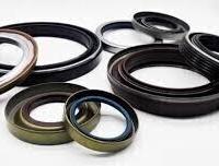 GUARNIZIONE PARAOLI BMW