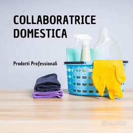 Collaboratrice Domestica e Dog Walker