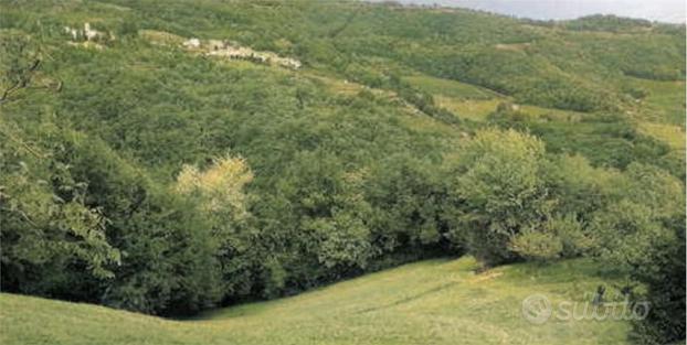 Terreno agricolo a Tregnago (VR)