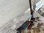 Immagine 6