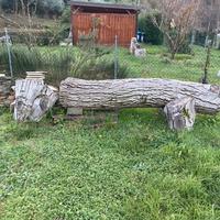 Legna da ardere o per intaglio in noce