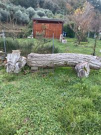 Legna da ardere o per intaglio in noce