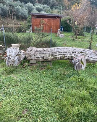 Legna da ardere o per intaglio in noce