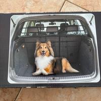 Separatore per cani (bagagliaio)