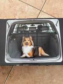 Separatore per cani (bagagliaio)