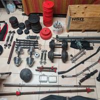 articoli palestra homegym