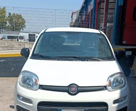 FIAT Panda 3ª serie - 2018