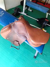 Attrezzatura Equestre e Finimenti - € 600