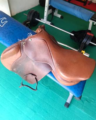 Attrezzatura Equestre e Finimenti - € 600