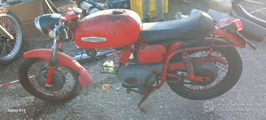 Aermacchi 250 Ala Verde