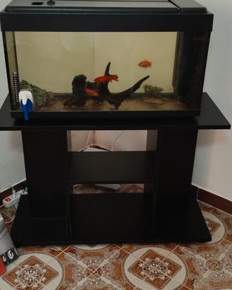 acquario 