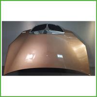 Cofano Motore MARRONE LANCIA MUSA TG 2004 2008 Mon