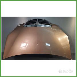 Cofano Motore MARRONE LANCIA MUSA TG 2004 2008 Mon