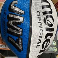 Pallone professionale MOLTEN