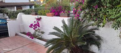 Agosto in villa al Circeo