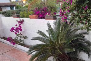 Agosto in villa al Circeo