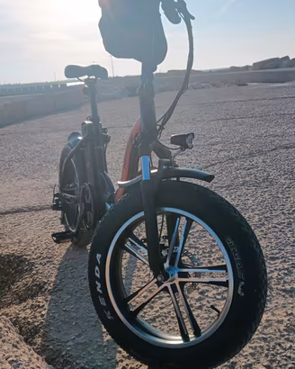 bicicletta elettrica 