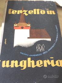Terzetto in ungheria Giambirasio 1943 ed Orobiche