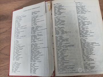 Vocabolario latino - Castiglione Mariotti