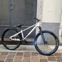 Rose the bruce 1 anno 2023