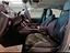 Immagine 12