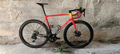 Pardus Robin Evo L 