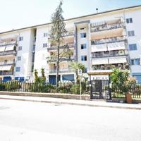 MANSARDA A POLLENA TROCCHIA