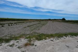 Terreno agricolo
