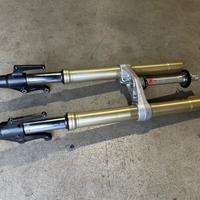 Forcella Anteriore Triumph Street Triple 675 2007 