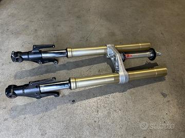 Forcella Anteriore Triumph Street Triple 675 2007 