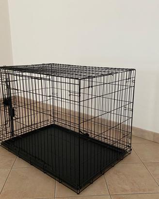 Kennel cani