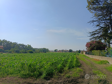 Terreno agricolo a Capaccio-Paestum su ss18