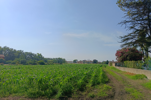 Terreno agricolo a Capaccio-Paestum su ss18