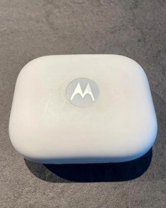 Motorola Moto Buds