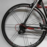  bicicletta de rosa 838