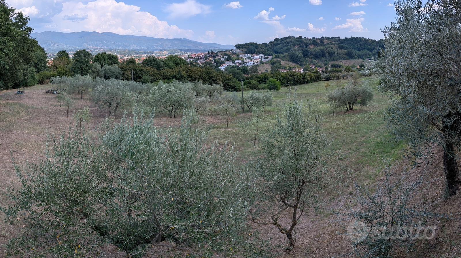 Terreno agricolo in Via Chianti Valdarno 1 - Vista 4