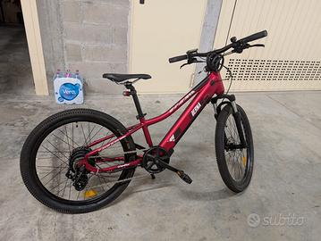 Bici elettrica Berna solo 70km